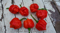 Trinidad Scorpion Moruga Red - Pepper Seeds - White Hot Peppers